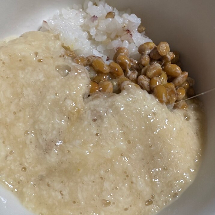 とろろ納豆ご飯